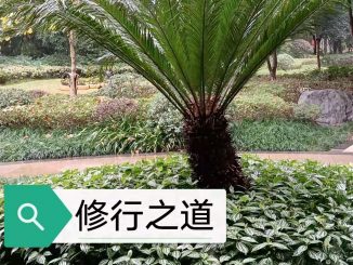 真修行