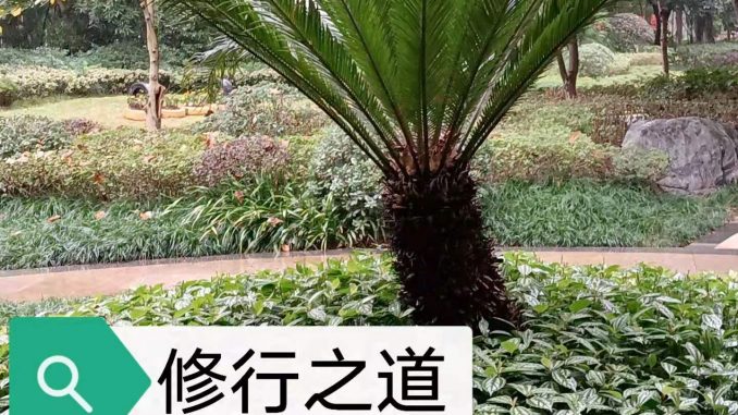 微信图片_20201223174352 真修行