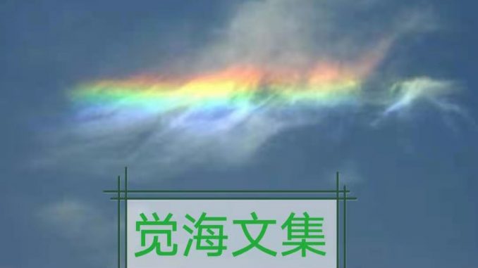 觉海文集总汇