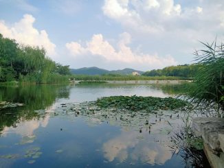 科学放生