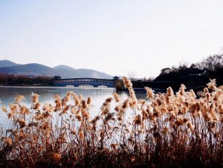 幸福