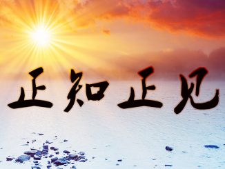 信因果