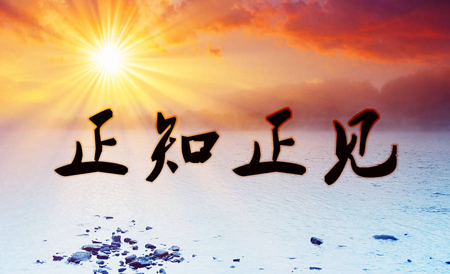 信因果